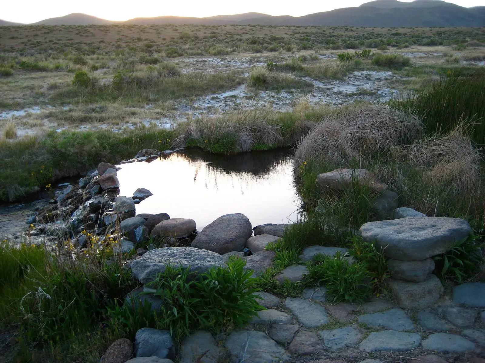 The warm creek flowing through Soldier Meadows, northern Nevada