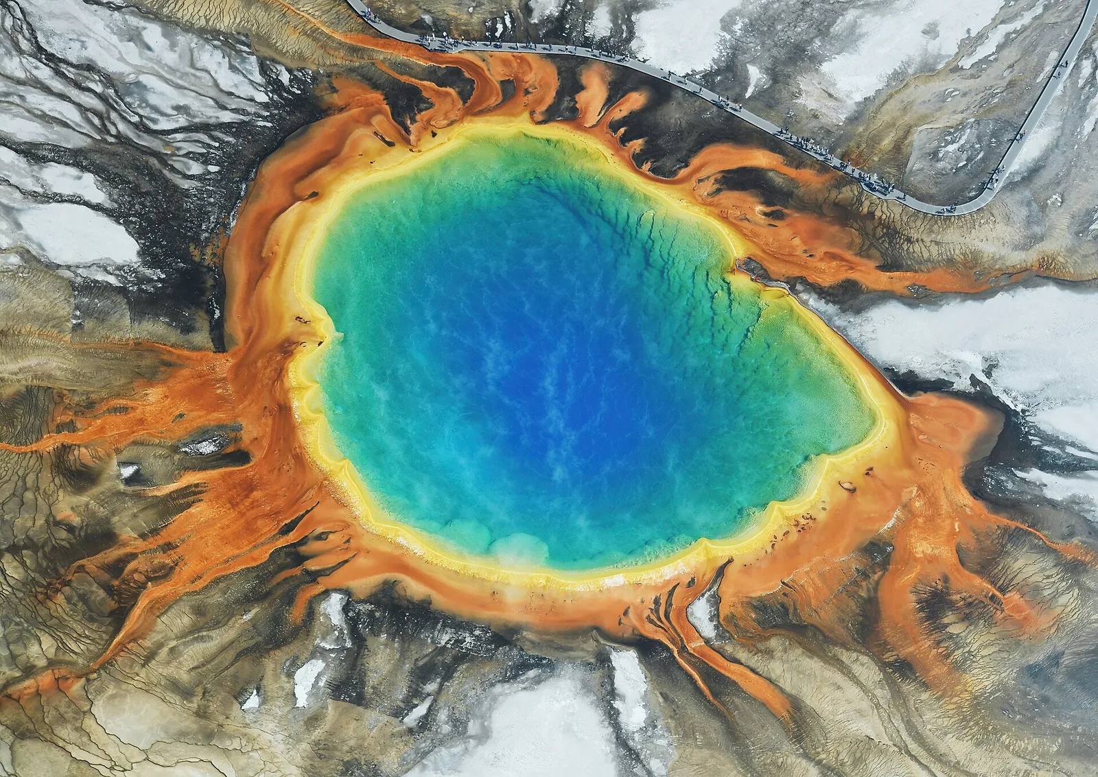 Grand Prismatic Spring from above — spectacular to view, deadly to touch