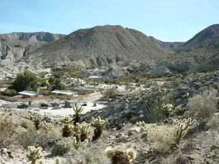 Agua Caliente County Park, California