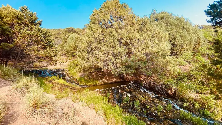 Valley View Hot Springs — photo