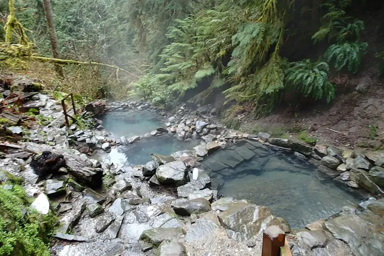 Terwilliger (Cougar) Hot Springs — photo