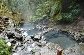 Terwilliger (Cougar) Hot Springs, Oregon