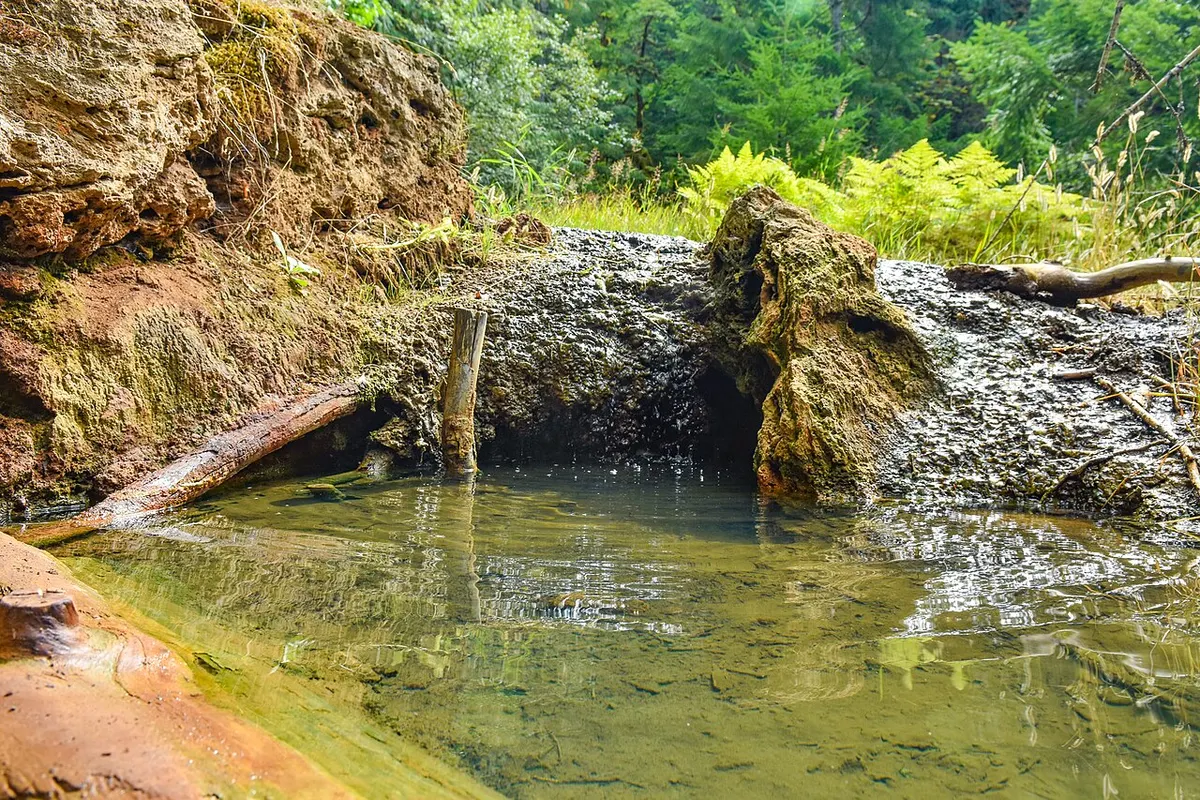 Ohanapecosh Hot Springs — natural hot spring near Packwood, Washington